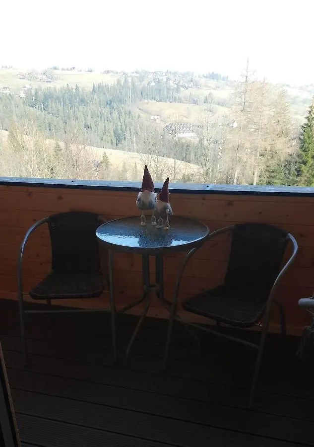 Alpehytte Domek Zakopianski Widok Zakopane Polen